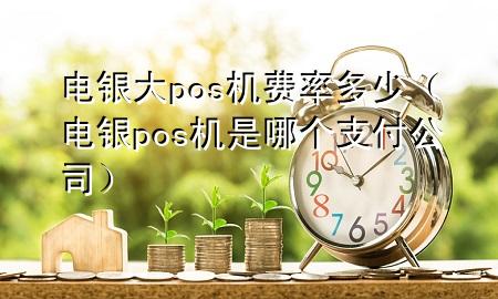 电银大pos机费率多少（电银pos机是哪个支付公司）