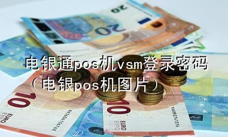 电银通pos机vsm登录密码（电银pos机图片）