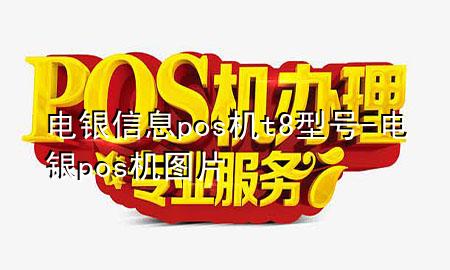 电银信息pos机t8型号-电银pos机图片