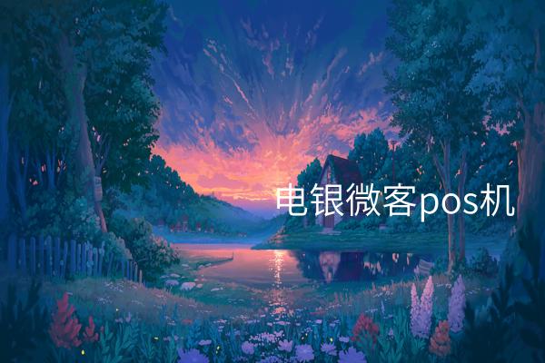 体验使用下一代智能POS机 - 电银微客POS机