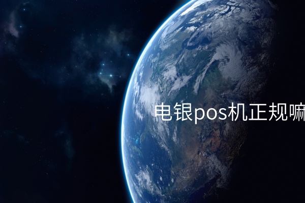 电银POS机：提升企业付款效率的贴心小助手