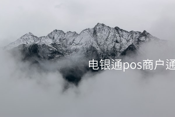 #### 电银通POS商户通 稳步提升企业经营效率