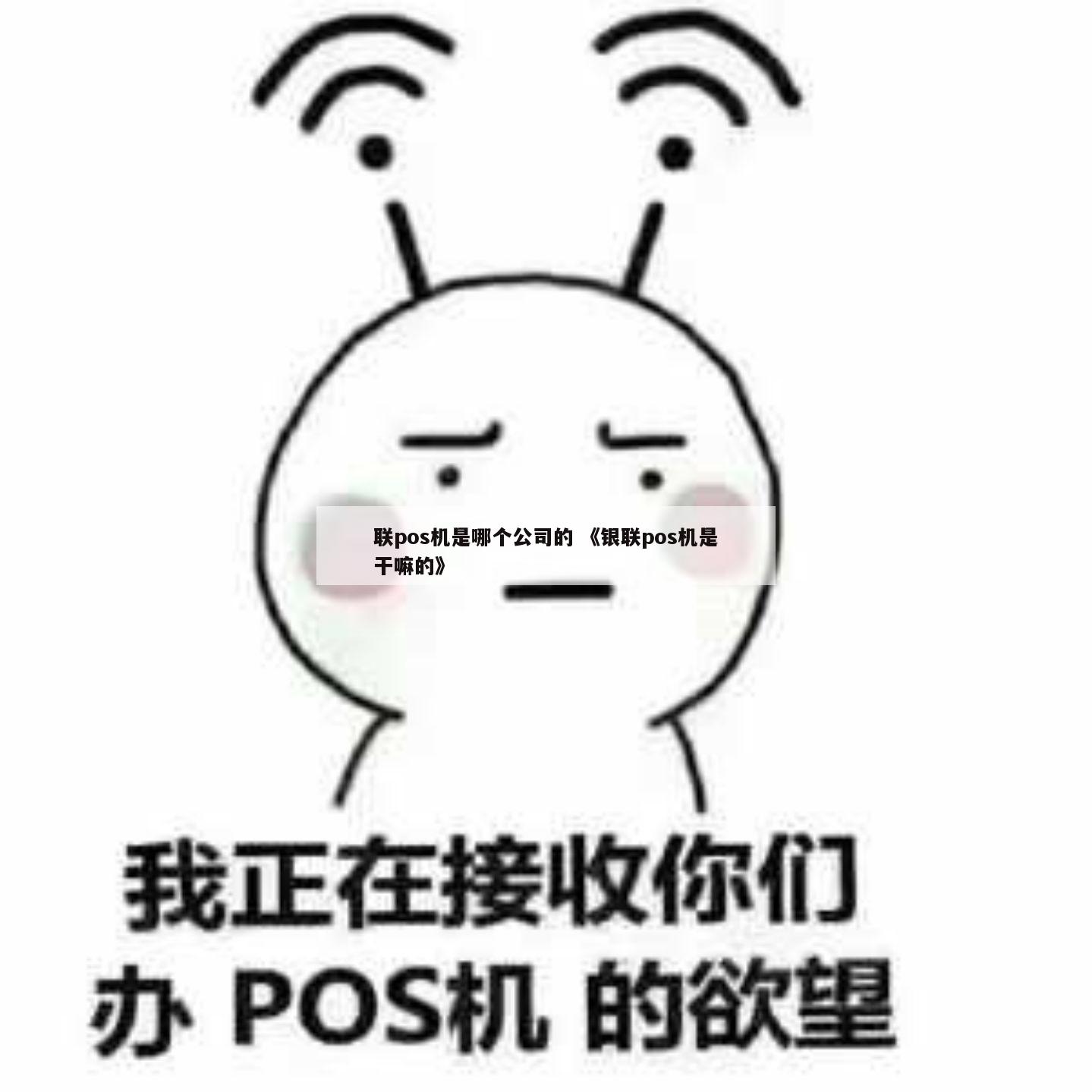 手机pos机全国招商_电银pos机招商政策_网络pos机招商