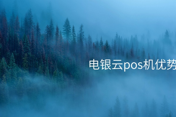   文章电银云POS机：保障支付安全的综合POS机优势