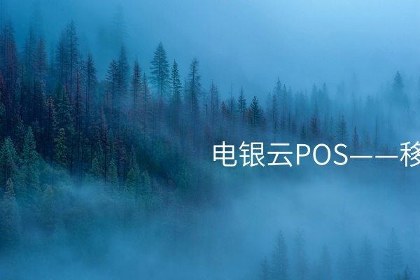 电银云POS——移动化收款解决方案 