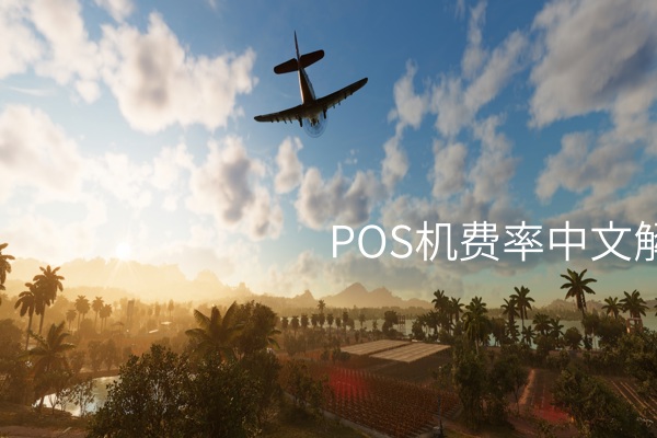 POS机费率中文解读