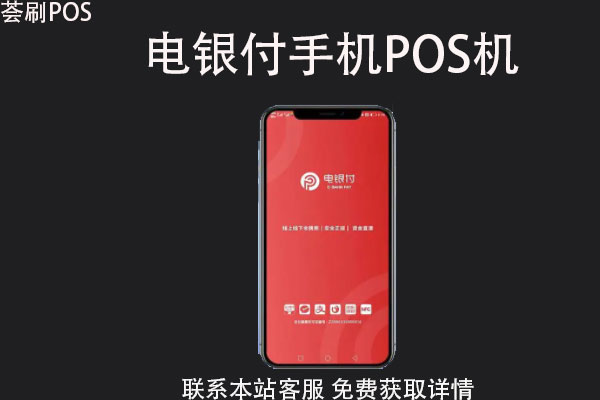 拉卡拉电签版pos机怎么使用_蓝牙pos机和电签pos机哪个好_电银pos机使用方法