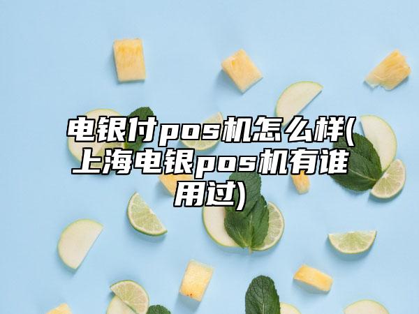 电银付pos机怎么样(上海电银pos机有谁用过)