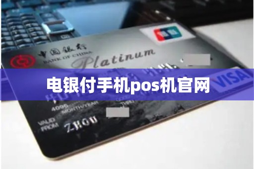 中国电银的Pos机 电银付手机pos机官网