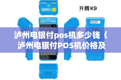 电银生活pos机怎么使用 泸州电银付pos机多少钱（ 泸州电银付POS机价格及购买指南）