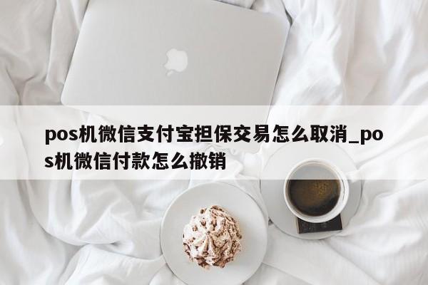 电银信息pos机最新产品 pos机微信支付宝担保交易怎么取消_pos机微信付款怎么撤销